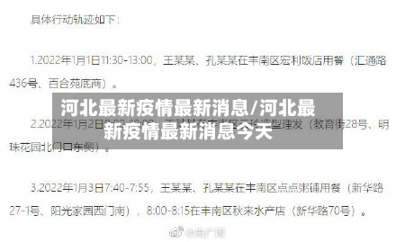 河北最新疫情最新消息/河北最新疫情最新消息今天-第3张图片