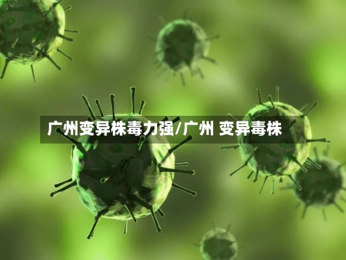 广州变异株毒力强/广州 变异毒株