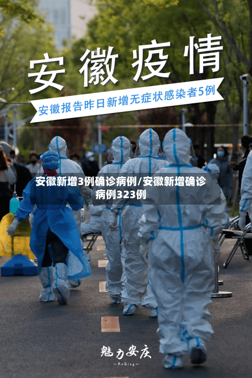 安徽新增3例确诊病例/安徽新增确诊病例323例-第3张图片