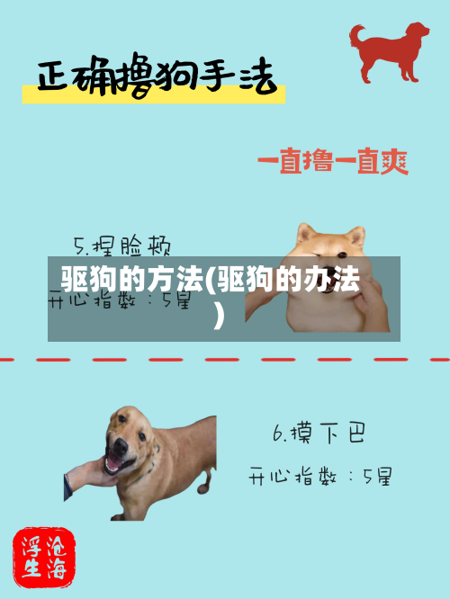 驱狗的方法(驱狗的办法)-第3张图片