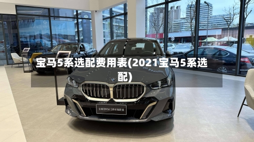 宝马5系选配费用表(2021宝马5系选配)