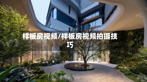 样板房视频/样板房视频拍摄技巧-第3张图片