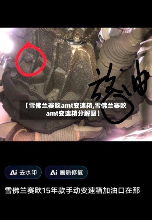 【雪佛兰赛欧amt变速箱,雪佛兰赛欧amt变速箱分解图】