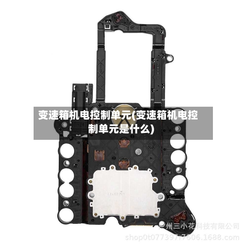 变速箱机电控制单元(变速箱机电控制单元是什么)-第3张图片