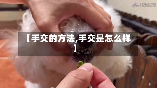 【手交的方法,手交是怎么样】